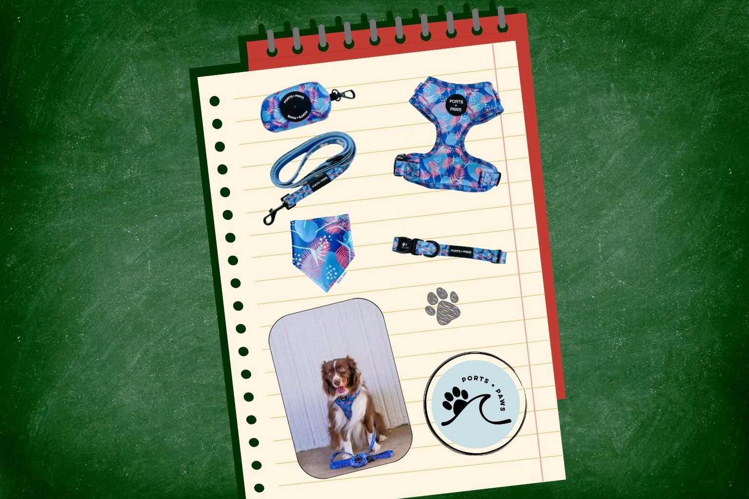 dog walking set from Ports + Paws