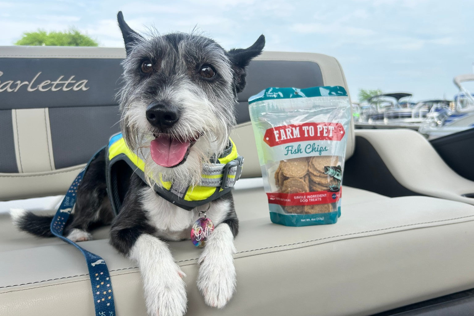 Dogs sitting on a boat next to a bag of Farm to Pet fish chips