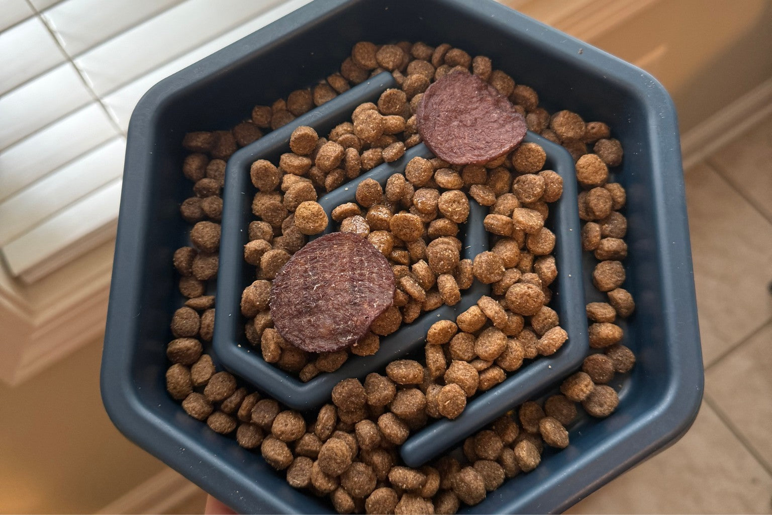 Slow feeder dog bowl with kibble and Farm to Pet beef chips