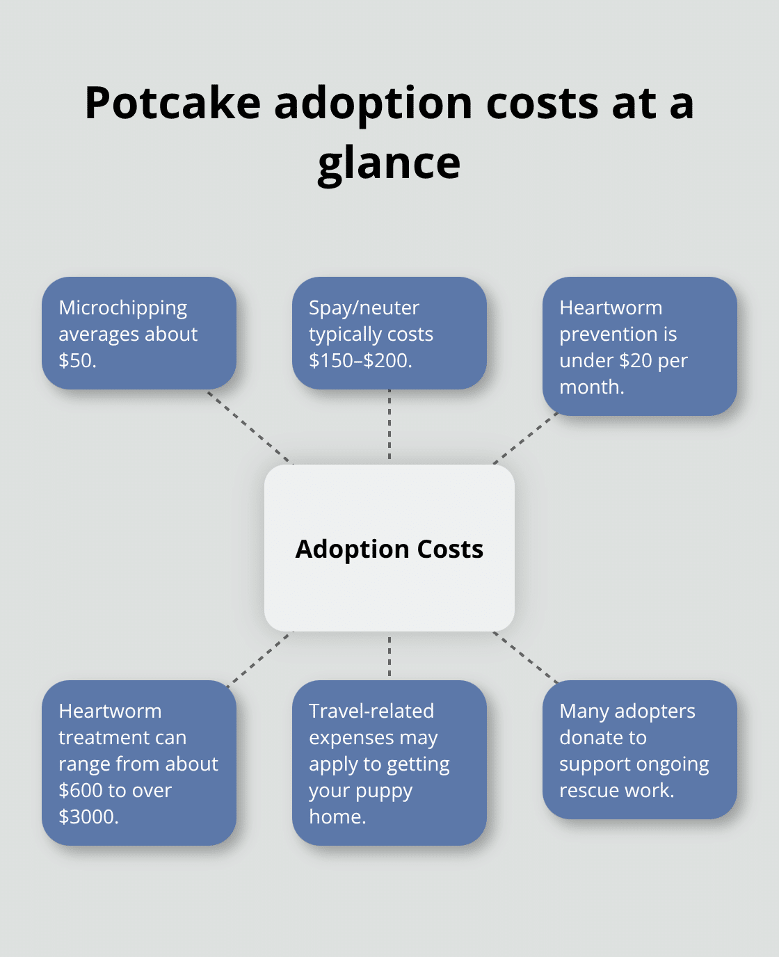 Visual of common potcake adoption-related expenses for U.S. adopters - potcake puppy adoption