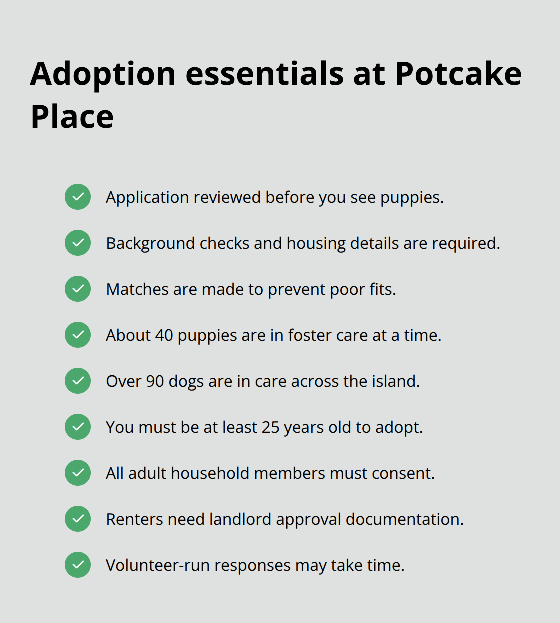 Key requirements and process points for adopting a potcake puppy