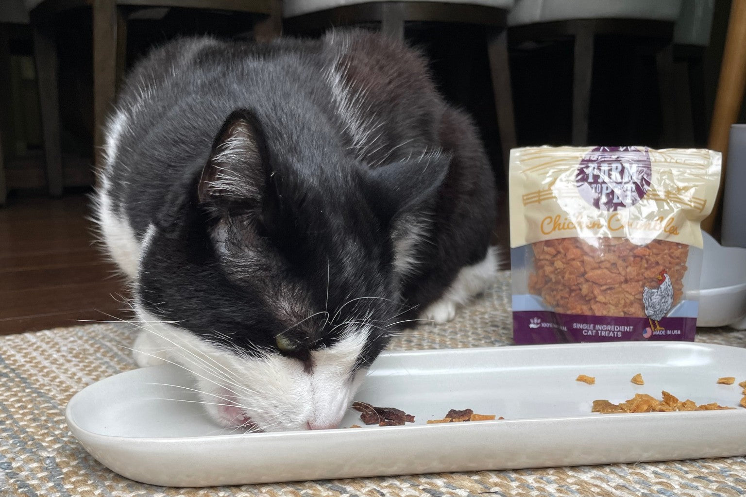 A black and white cat eating Farm to Pet cat treats from a plate.
