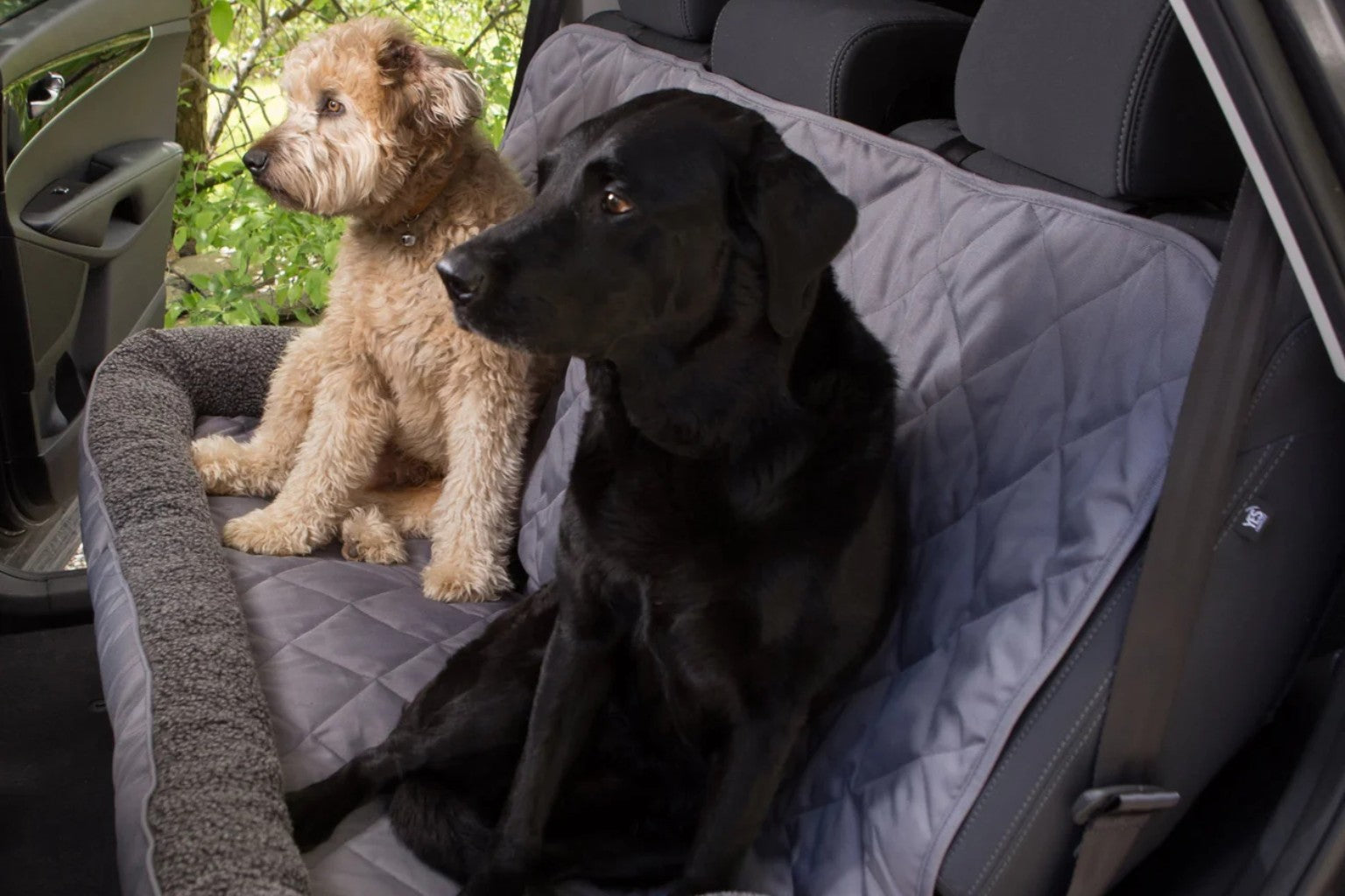 two dogs sitting on a car back seat protector