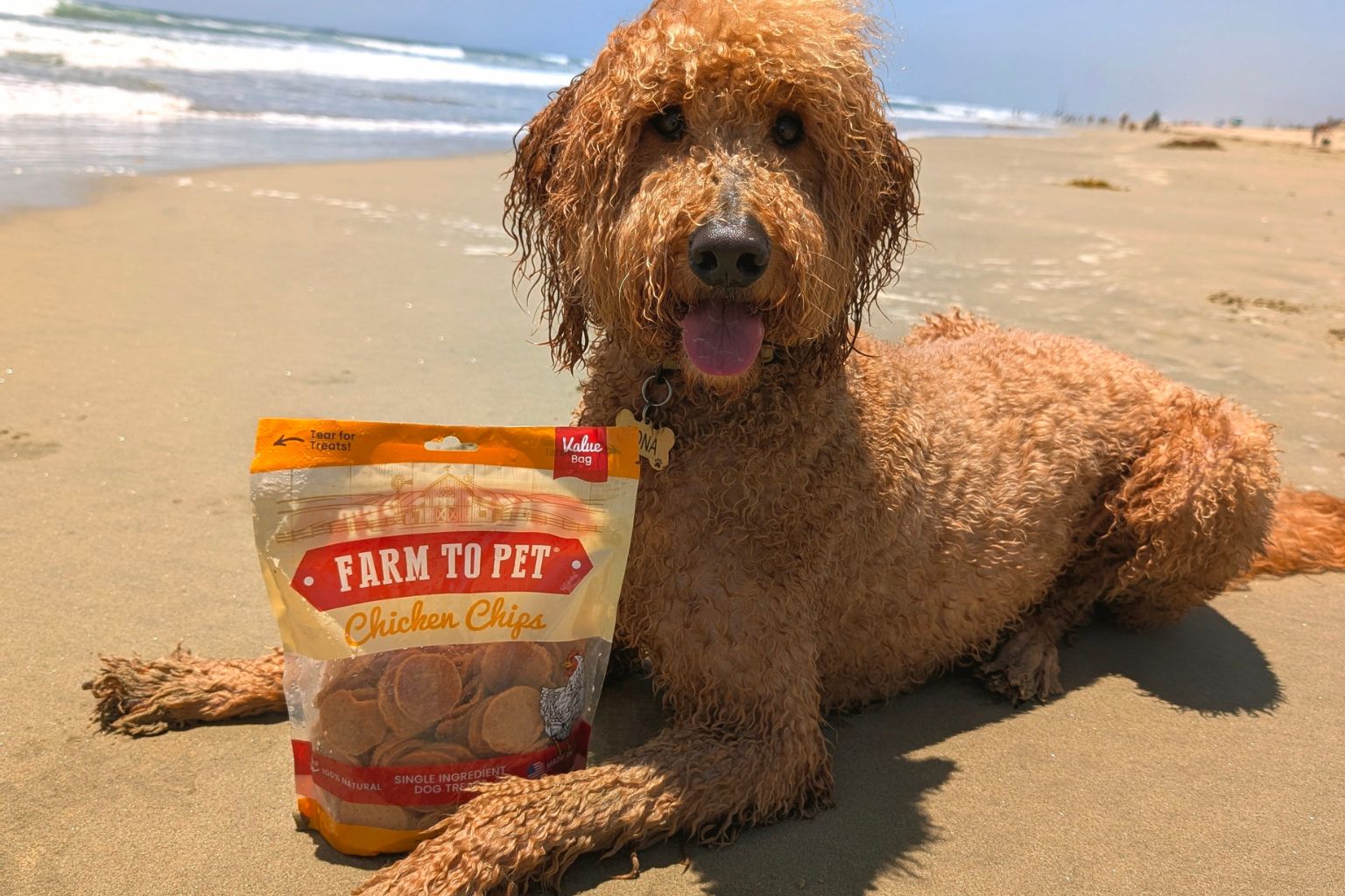 a wet dog on the sand with a bag of Farm to Pet healthy dog treats