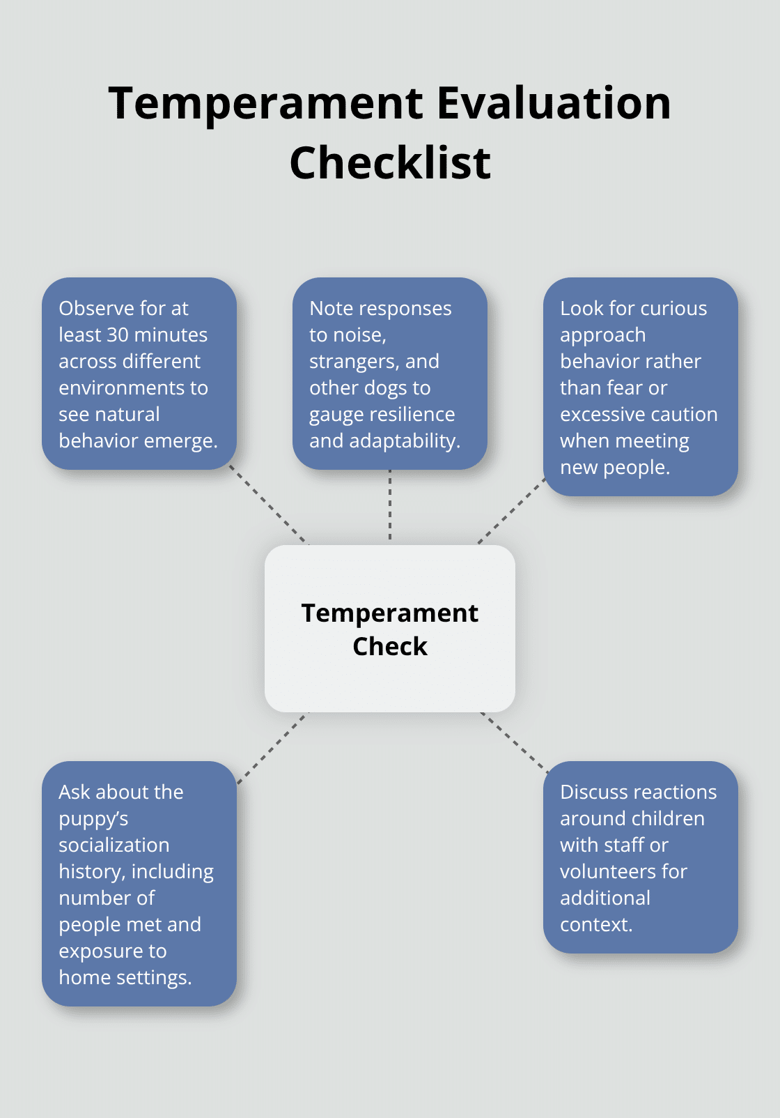 How to assess a black pug puppy’s temperament before adoption