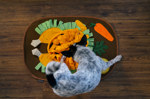 Snuffle mats for dogs to encourage foraging and enrichment play