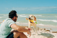 Dog-Friendly Labor Day Activities & Travel Ideas – P.L.A.Y.