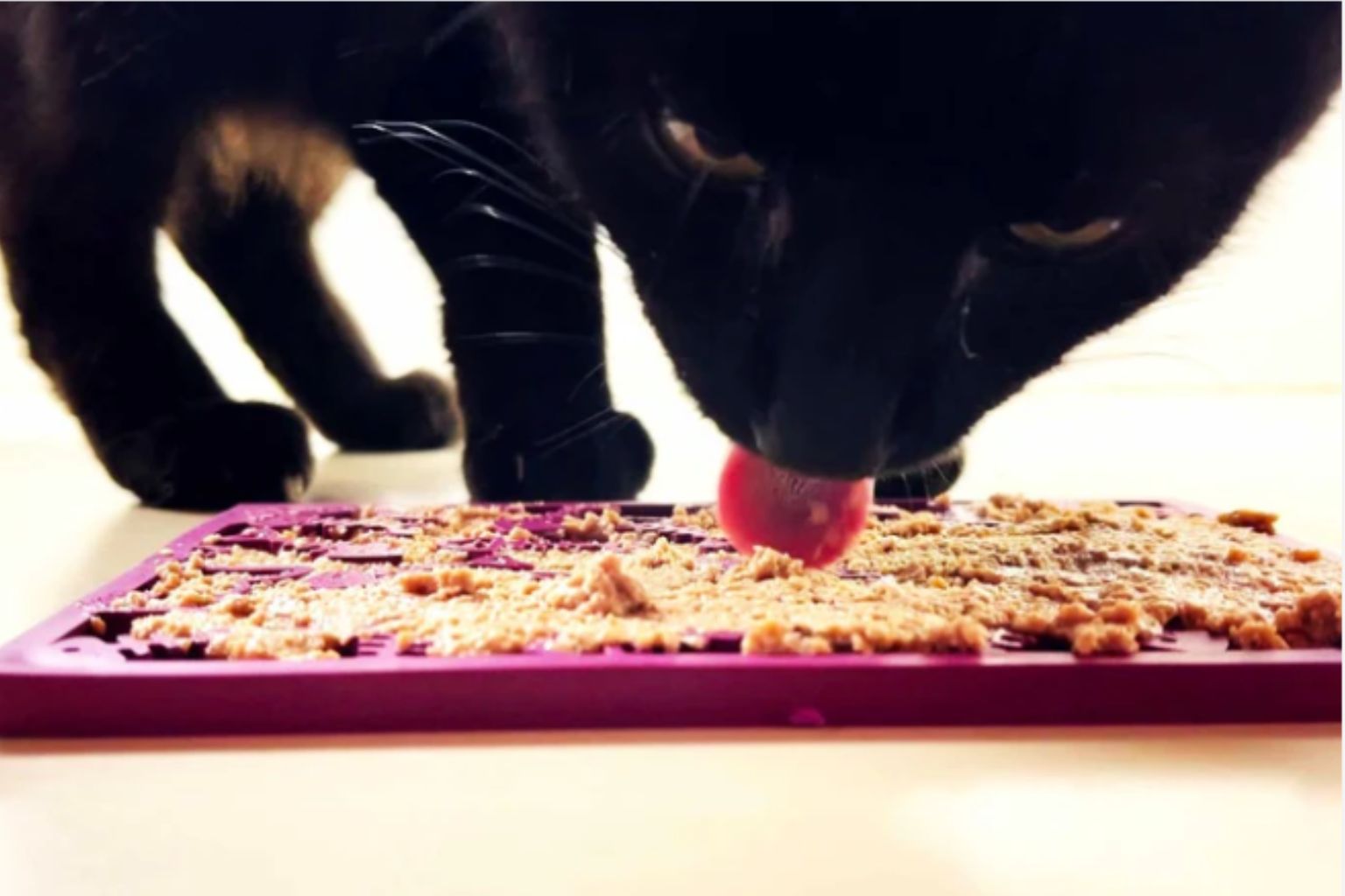 a cat licking wet food and pet food topper off of a cat lick mat