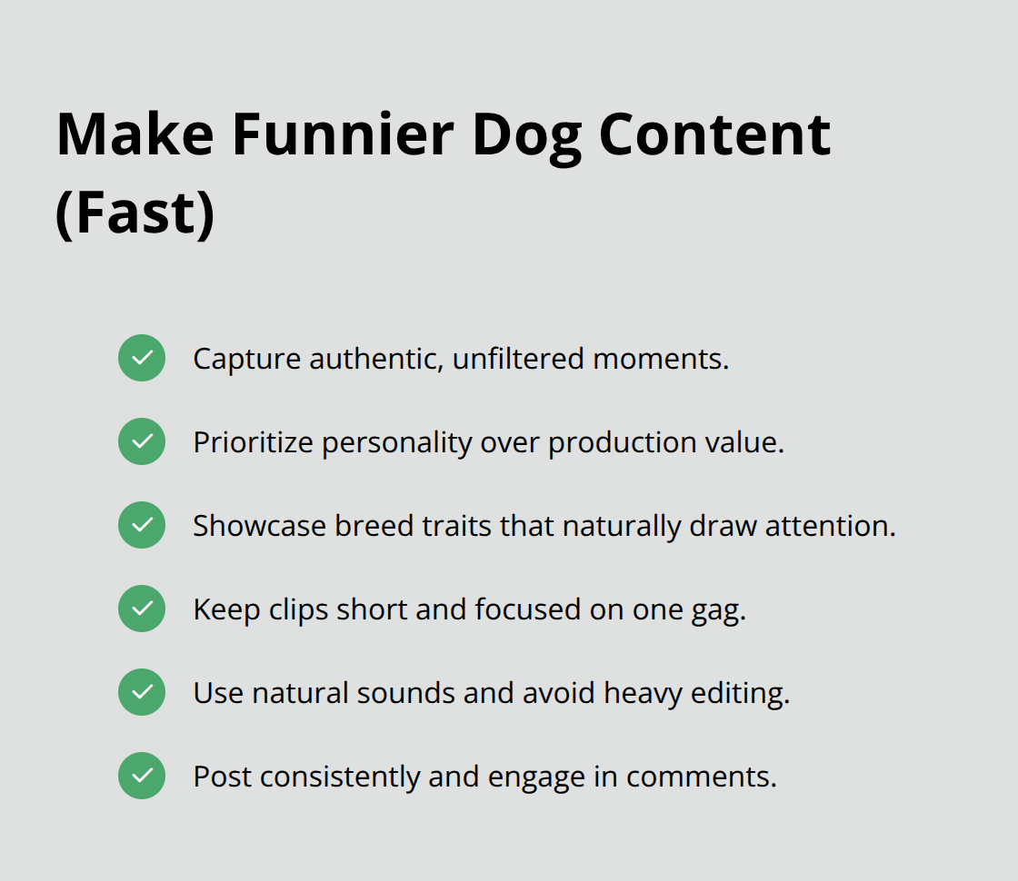 Checklist of simple tactics to boost engagement on dog videos. - funny dog articles