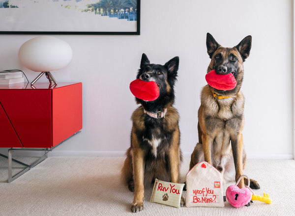 thelabsandco-alpha-2643.jpg__PID:ec27123e-9110-473b-99fb-e76834ddca95