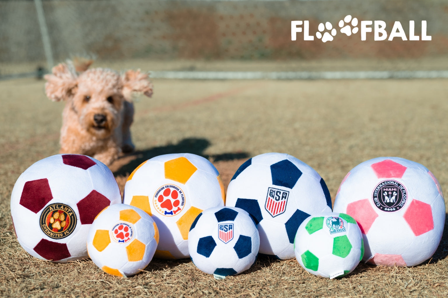 dog sitting with a plush soccer ball toy