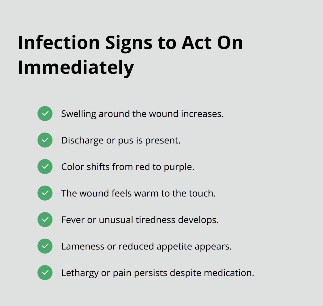Checklist of dog bite wound infection symptoms that require prompt veterinary attention. - dog bite wound care for dogs