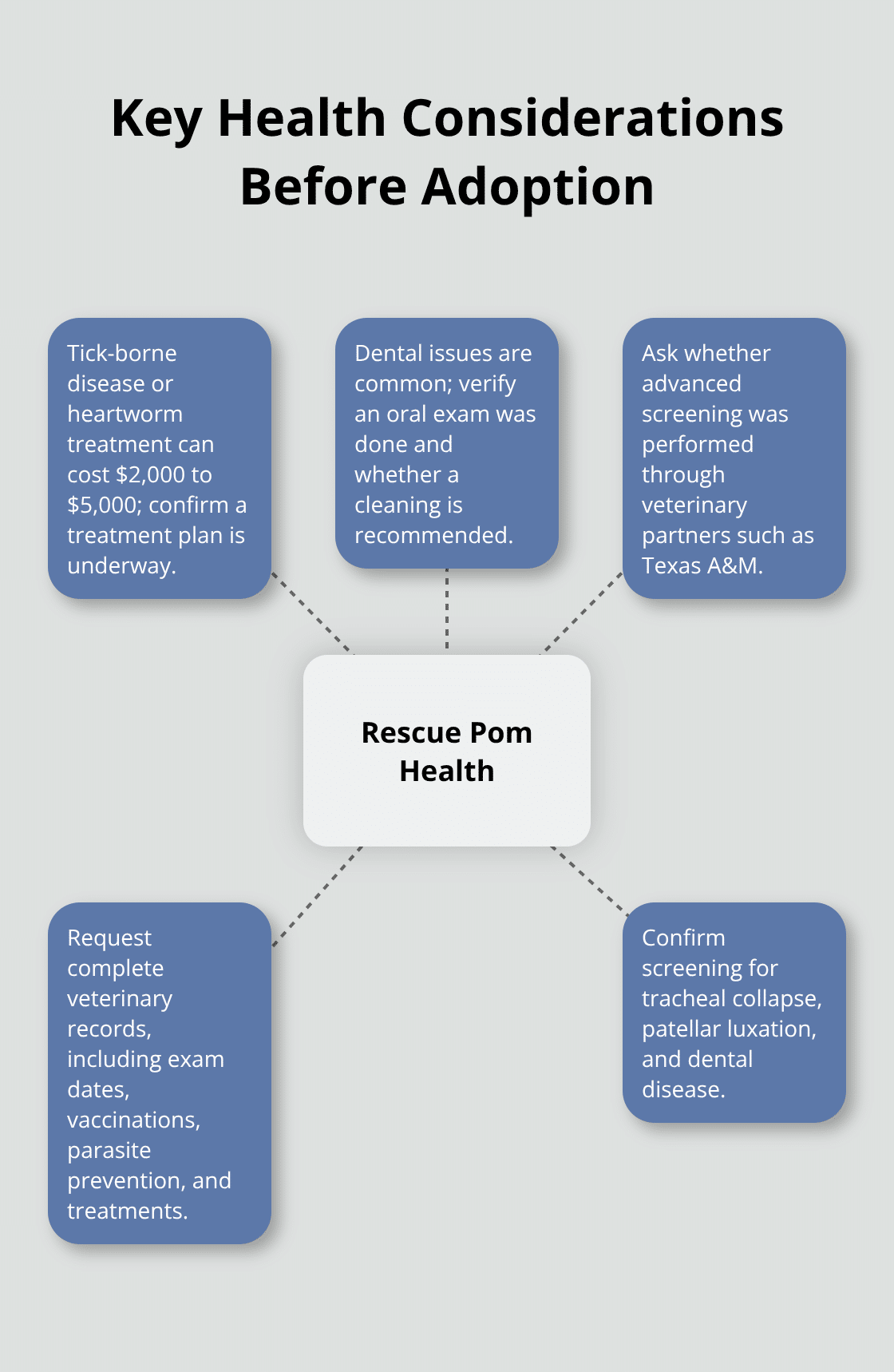Hub-and-spoke diagram of essential health checks for rescue Pomeranians - puppy pomeranian for adoption