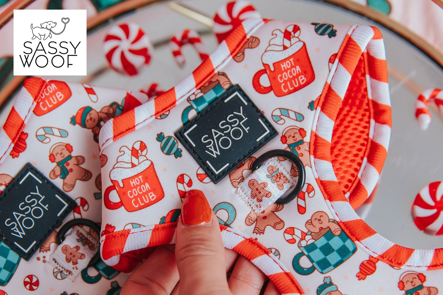 Red, white and green holiday dog harness with cups of hot cocoa and candy canes