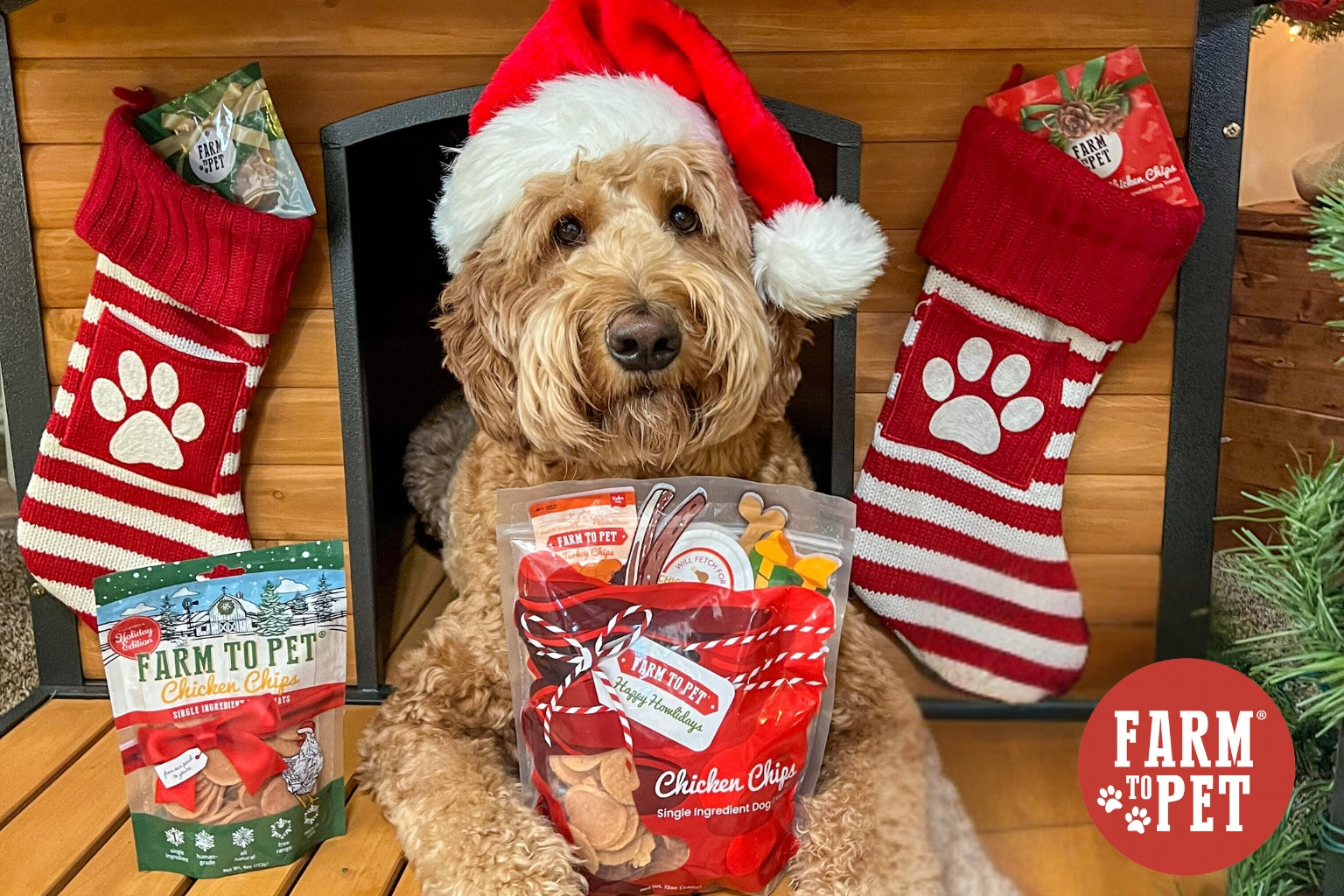A beige furry dog with a Santa hat sitting in a dog house surrounded by holiday stockings and Farm to Pet holiday dog treat bags