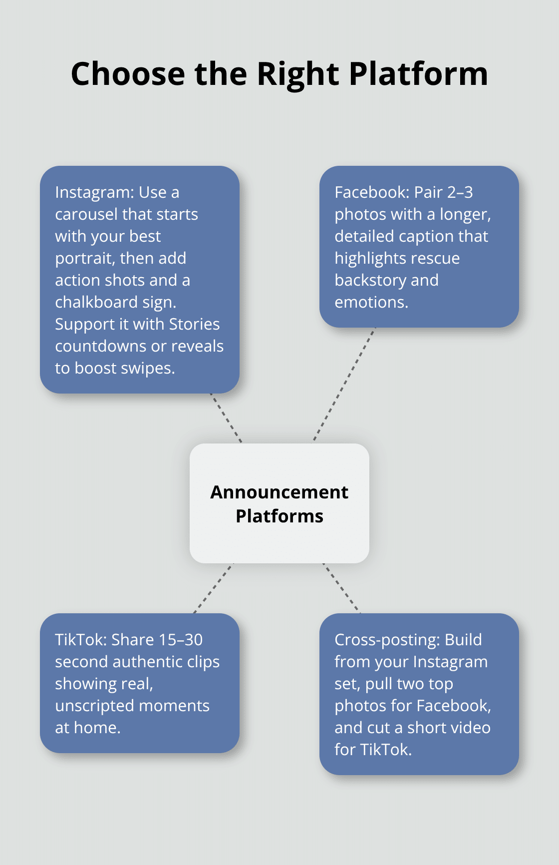 Hub-and-spoke showing Instagram, Facebook, TikTok, and cross-posting tips.