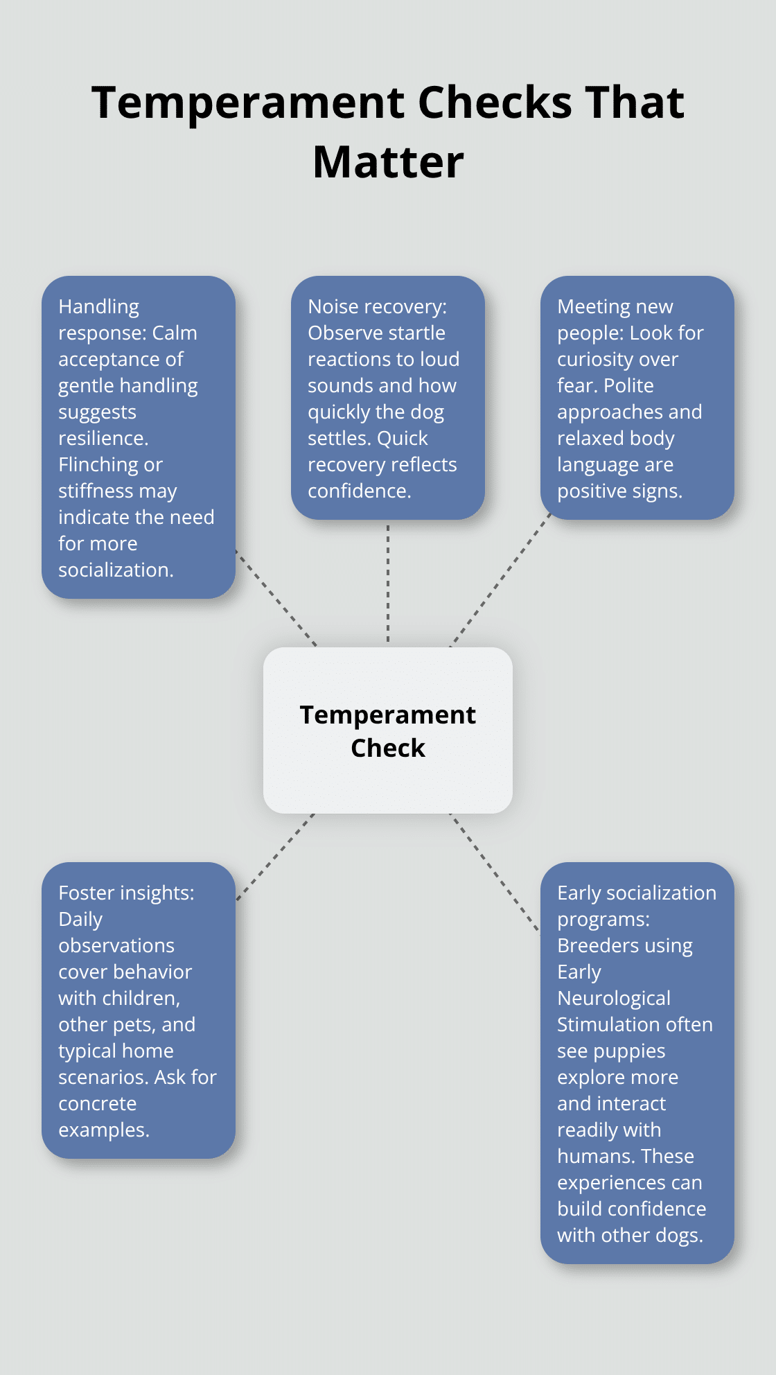 Central temperament evaluation areas for Miniature Schnauzer puppies and dogs.