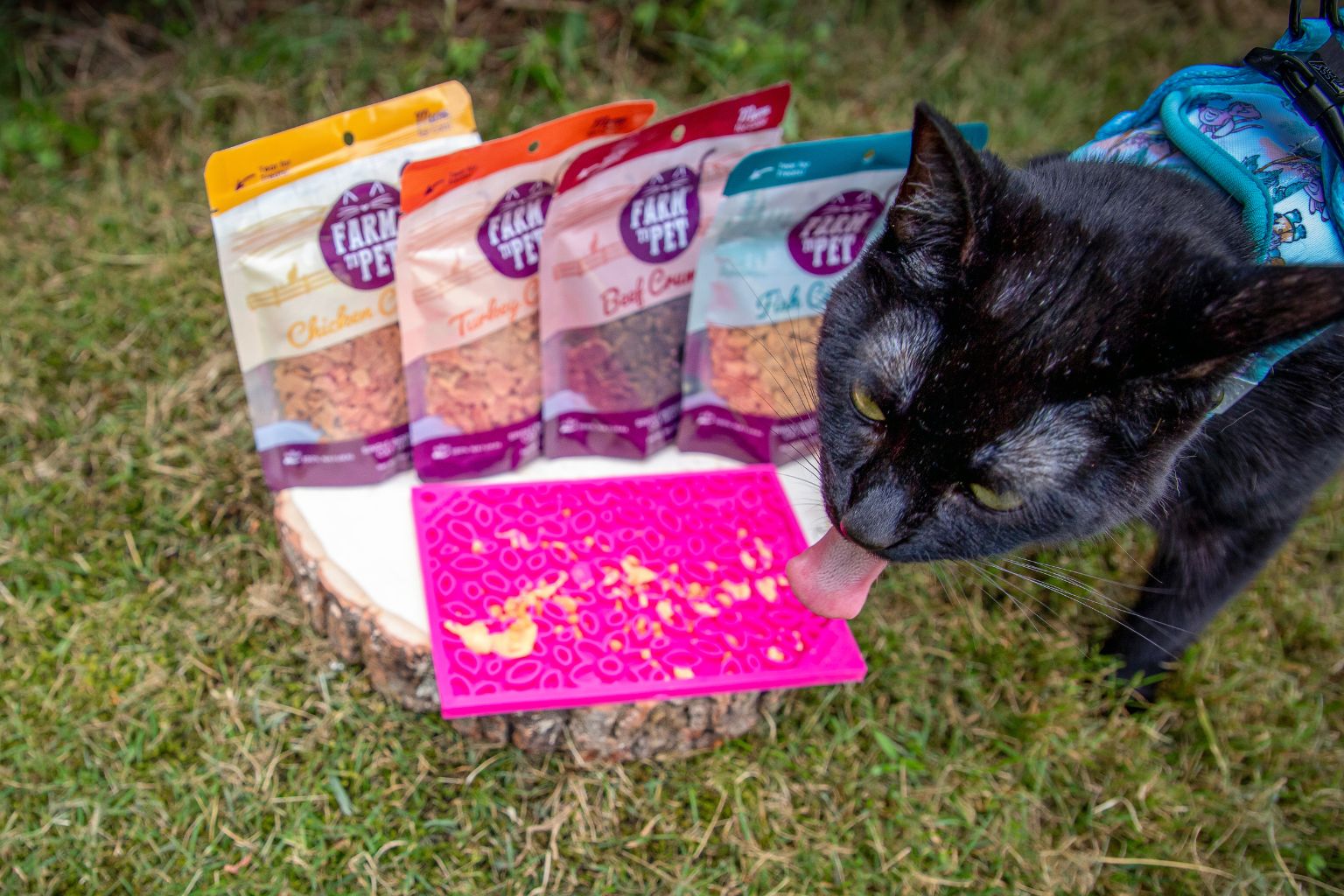 cat licking a lick mat with farm to pet cat treats