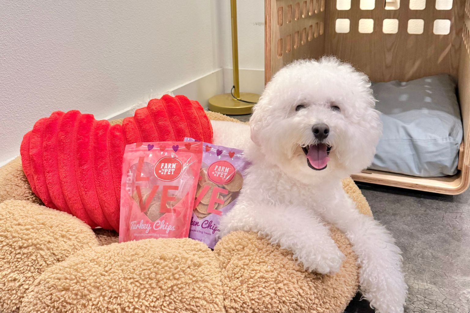dog sitting on dog bed with heart shaped pillow and farm to pet dog treats