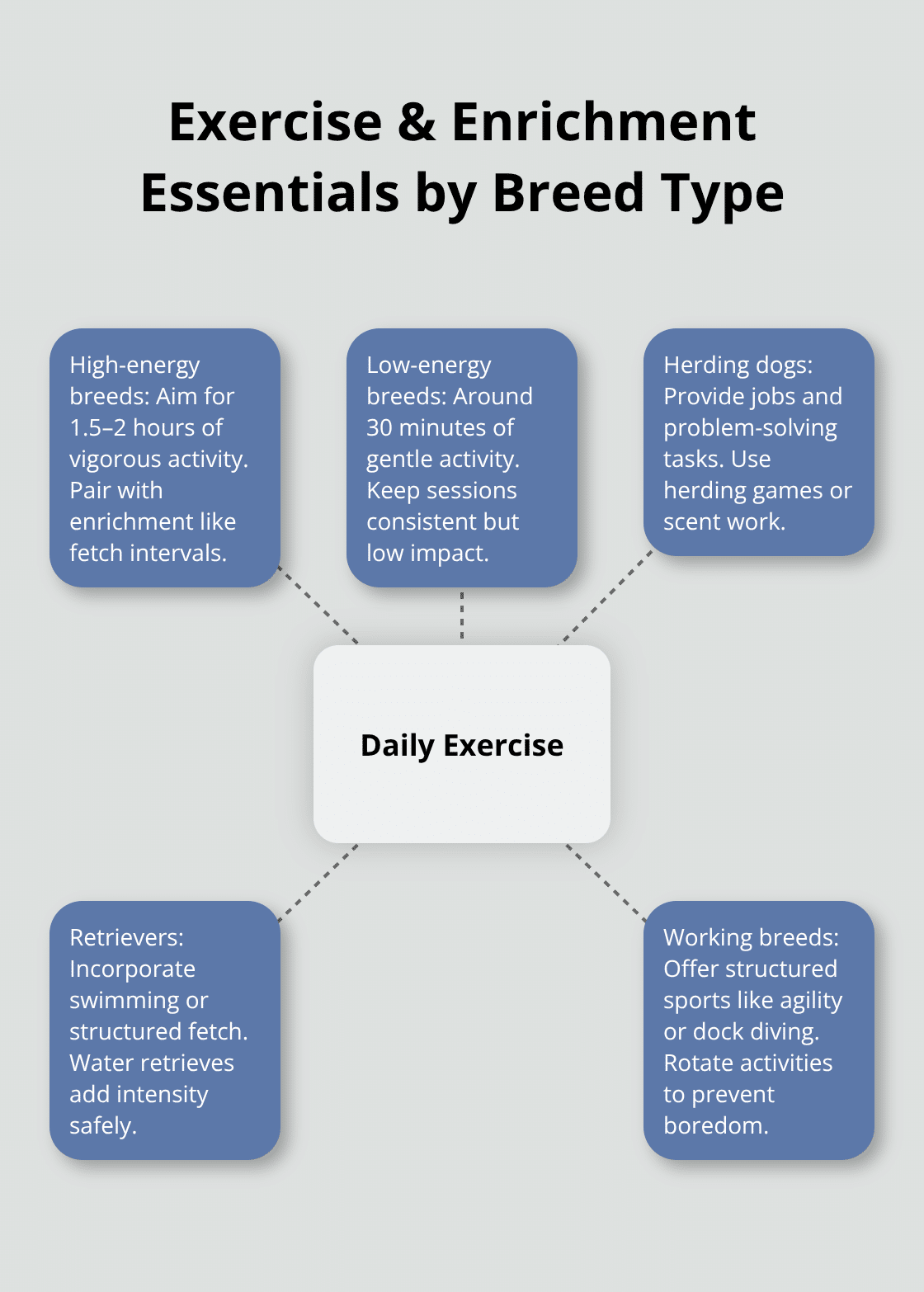 Hub-and-spoke chart showing daily exercise guidance by energy level and breed activities