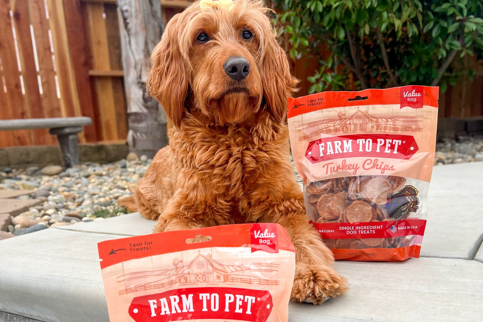 Furry red dog next to a bag of Farm to Pet Turkey Chips