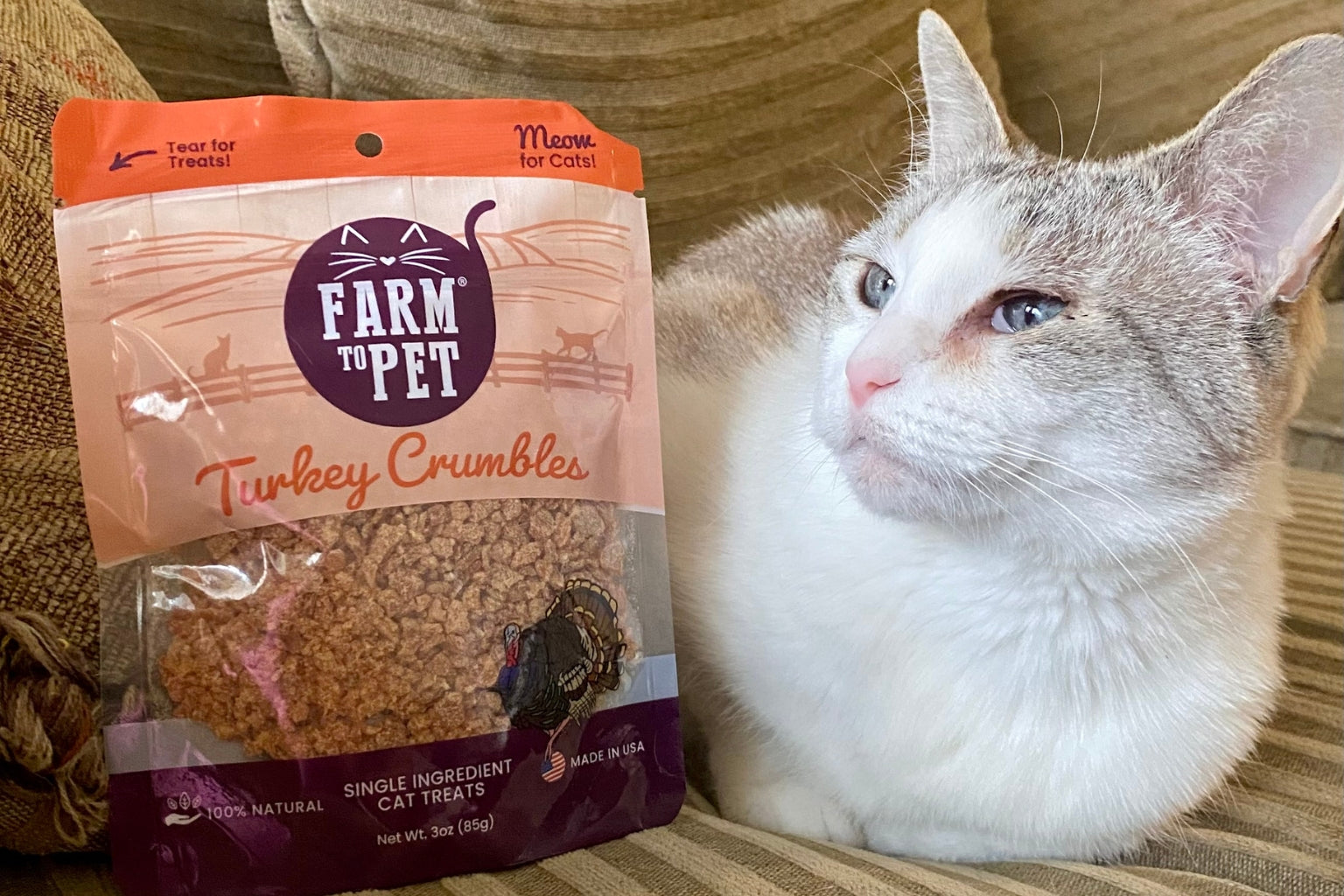 White and grey cat lying next to a bag of Farm to Pet Turkey Crumbles treats