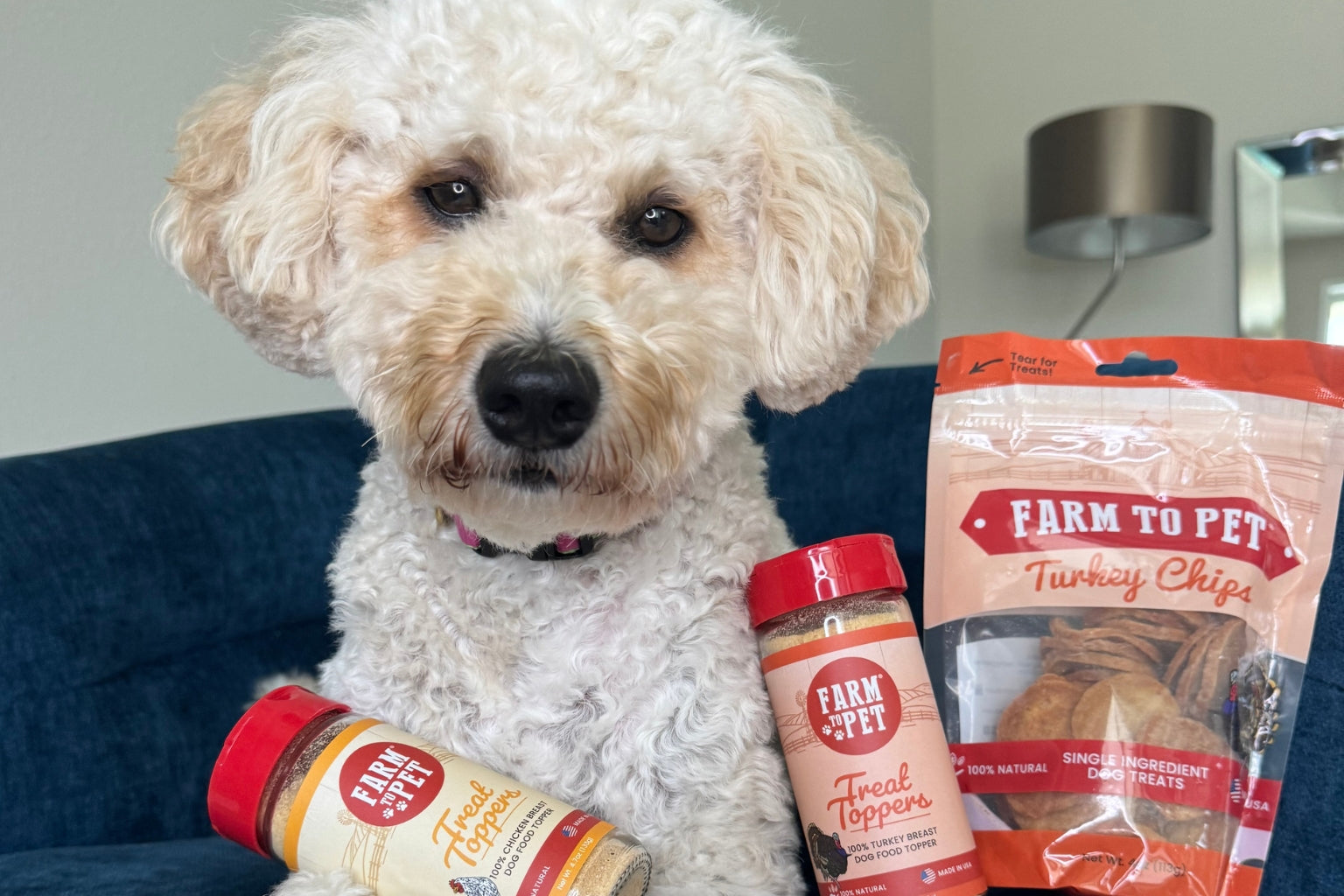 Small white dogs next to Farm to Pet Turkey Chips and dog food toppers