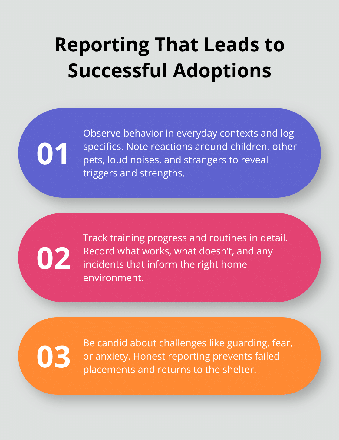 What foster caregivers should include in written updates to rescues - how to foster dogs