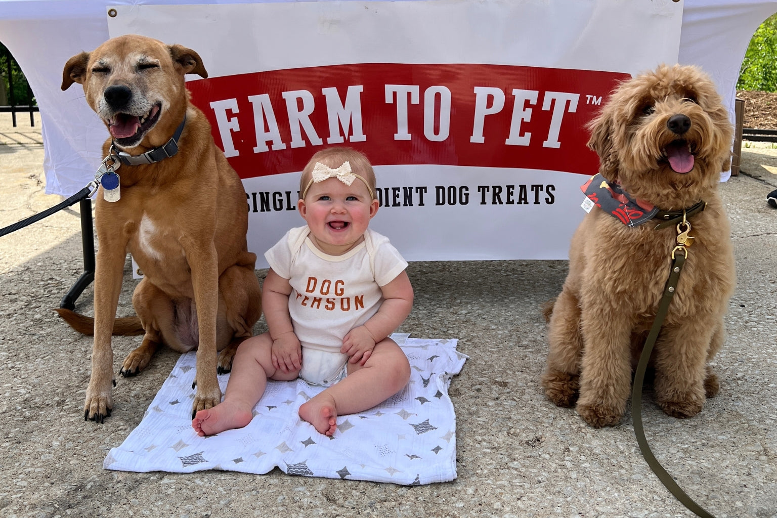 A smiling baby sitting on the floor next to two dogs in front of a Farm to Pet treat table.