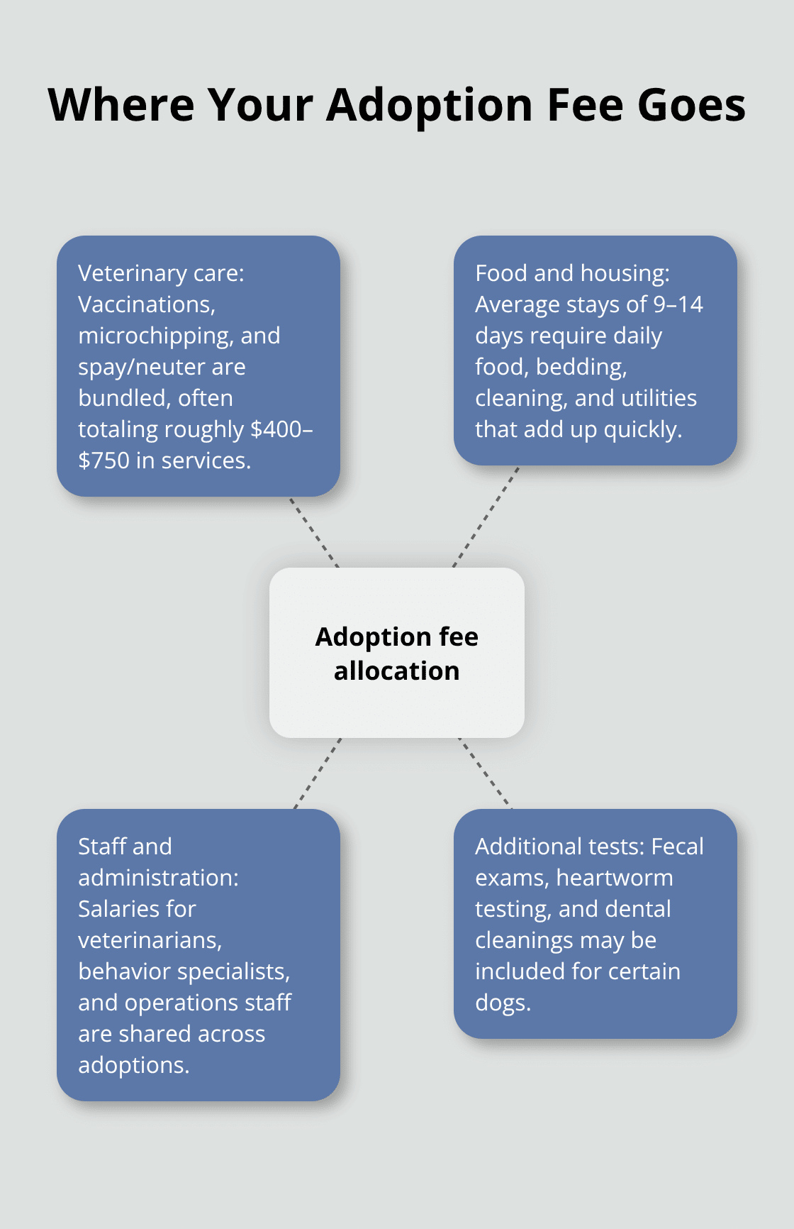 Hub-and-spoke breakdown of adoption fee cost components - adoption fees explained