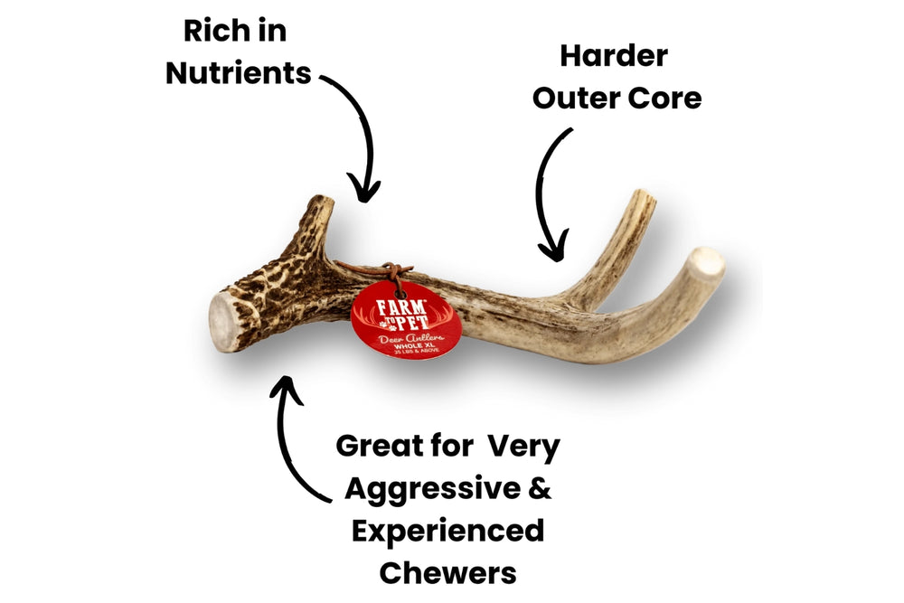 An infographic of a Farm to Pet deer antler dog chew saying rich in nutrients, hard outer core, and great for very aggressive experienced chewers