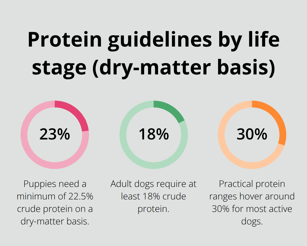 Protein percentage guidelines for puppies, adult dogs, and active dogs - dog lifestyle tips