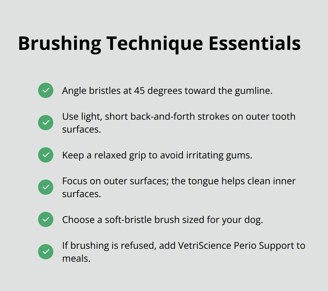 Checklist of key steps for effective dog toothbrushing - dog dental care