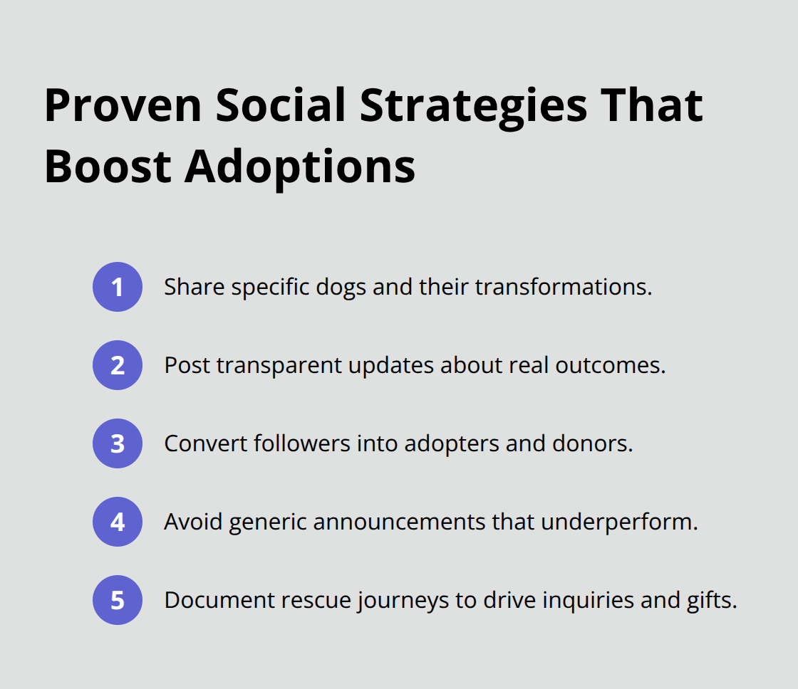 Compact list of social media practices that increase dog adoptions and donations in U.S. shelters.