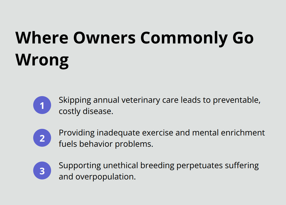 Three common mistakes dog owners make that harm dogs over their lifetimes - Ethical pet care standards