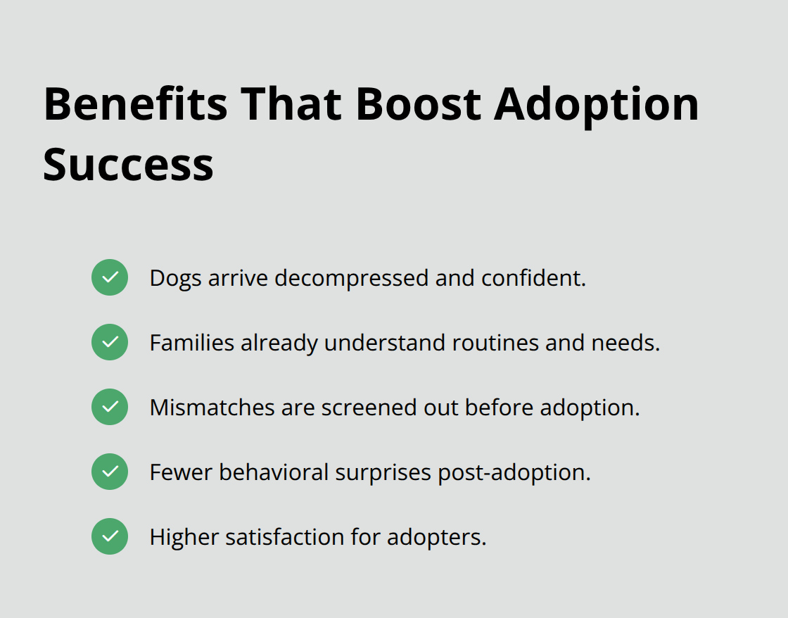 How foster-to-adopt improves adoption outcomes