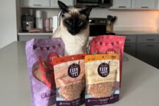 Oblige your Obligate Carnivore with our Healthy Cat Treats – Farm To Pet