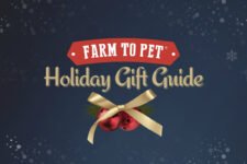 Farm to Pet Annual Holiday Dog Gift Guide 2024 – Farm To Pet