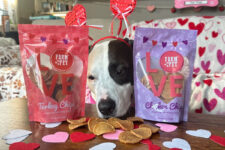 Paw-sitively Lovely Valentine’s Day Treats for Dogs and Cats