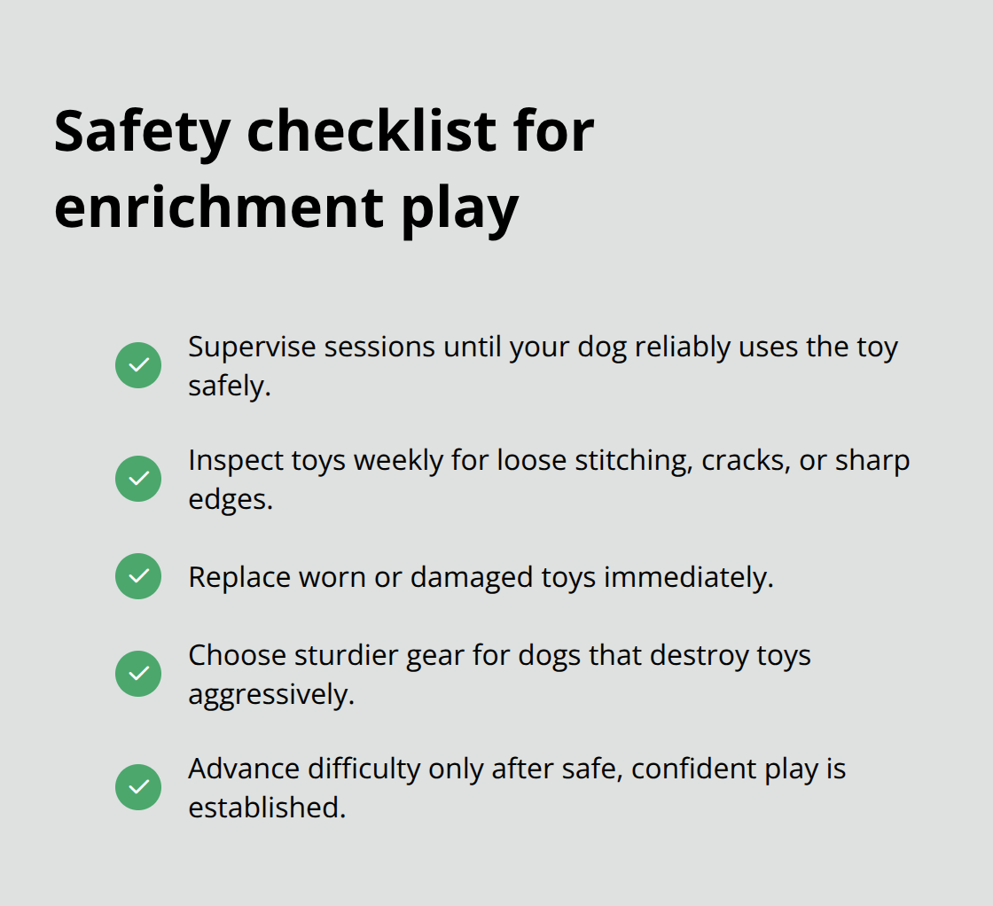 Checklist of safety steps for dog enrichment sessions - dog enrichment toys