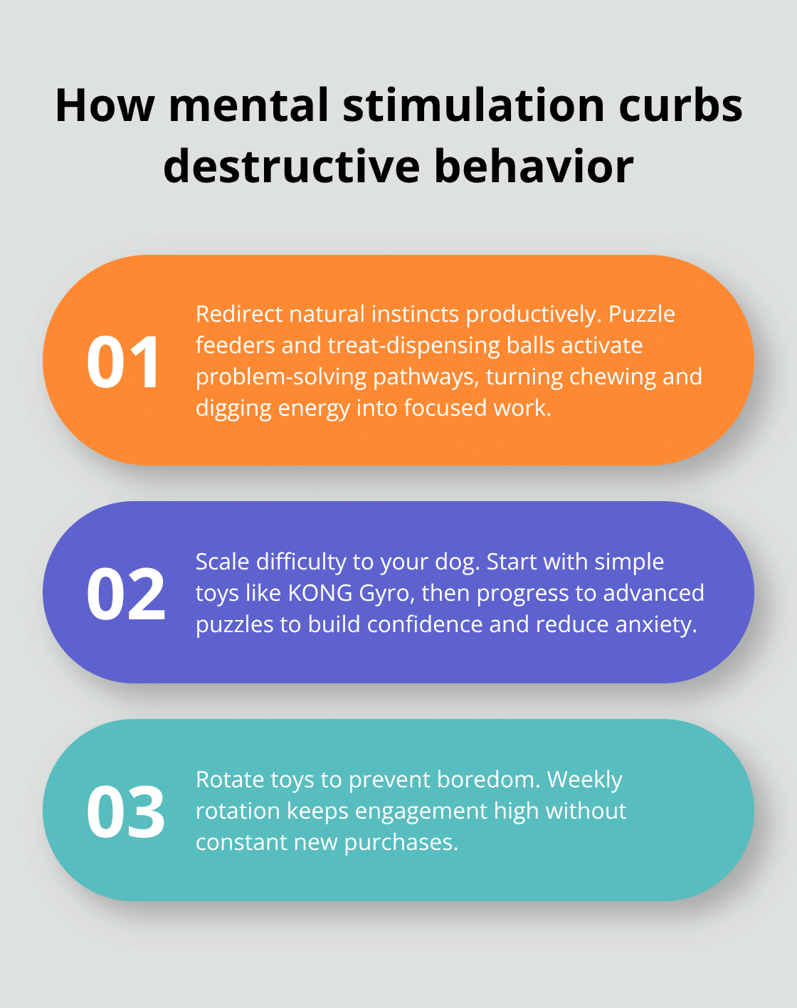 Three ways enrichment reduces destructive habits in dogs - dog enrichment toys