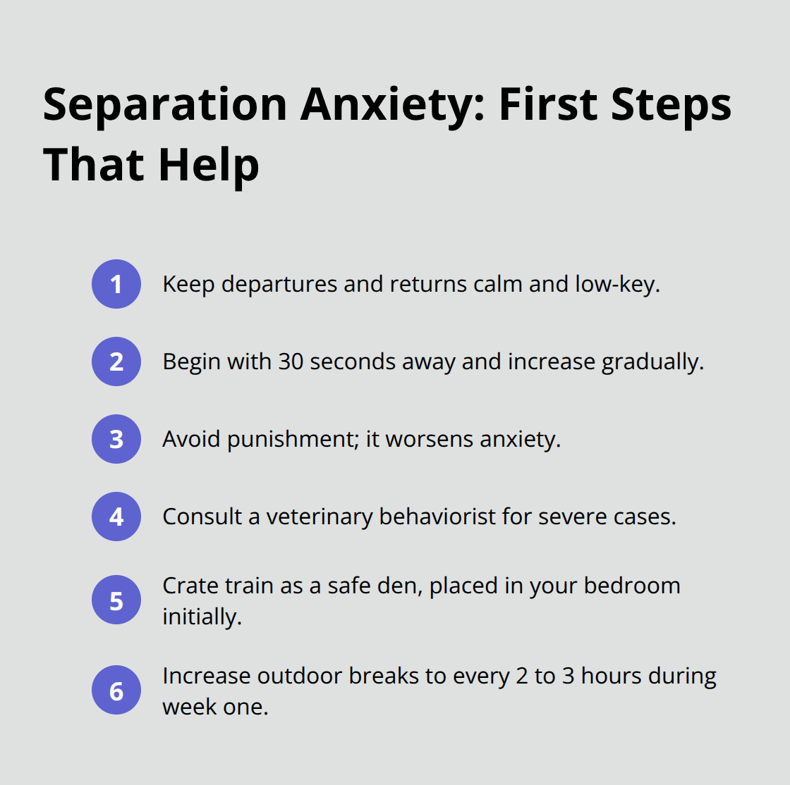 Compact list of actionable steps to reduce a new dog’s separation anxiety. - home acclimation plan dogs