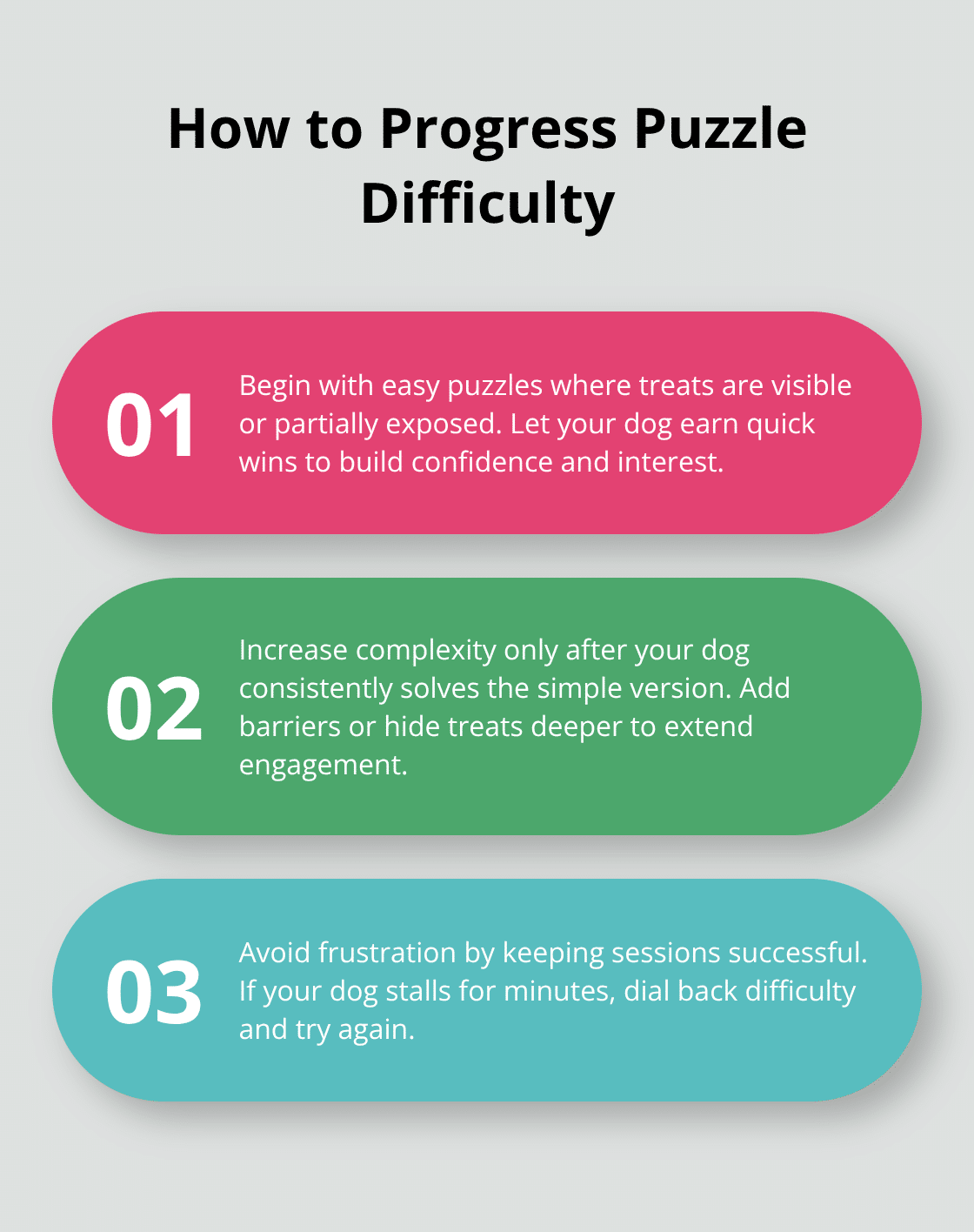 Three-step guide to increasing dog puzzle toy difficulty