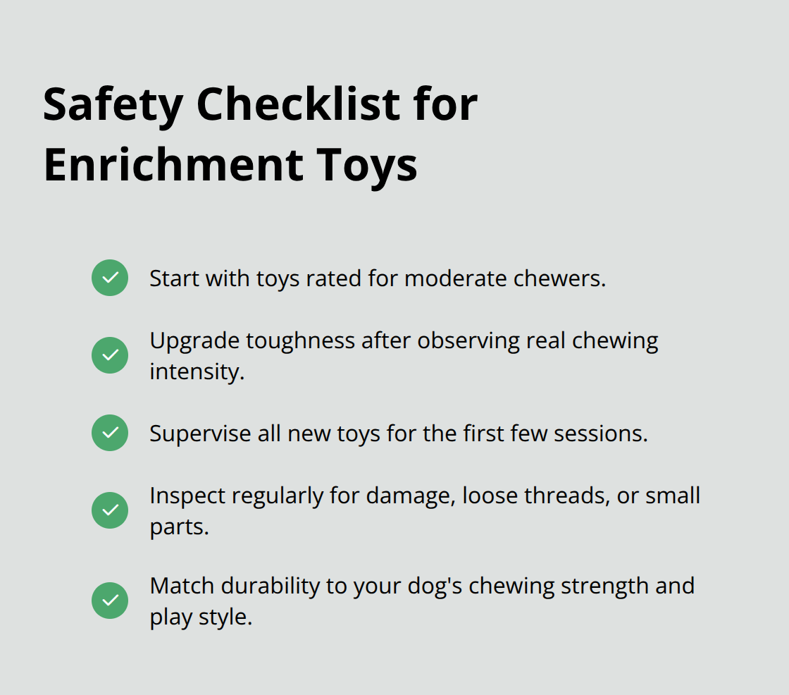 Five safety tips for selecting and supervising dog toys - dog enrichment toys