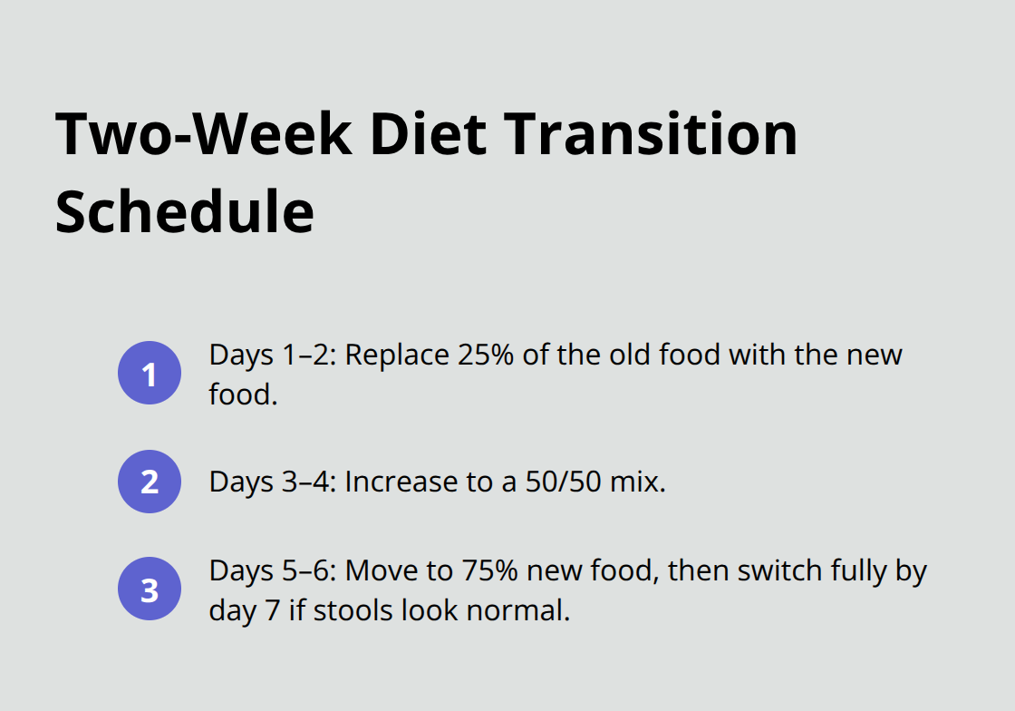 Simple step-by-step plan to switch your dog’s food without stomach upset