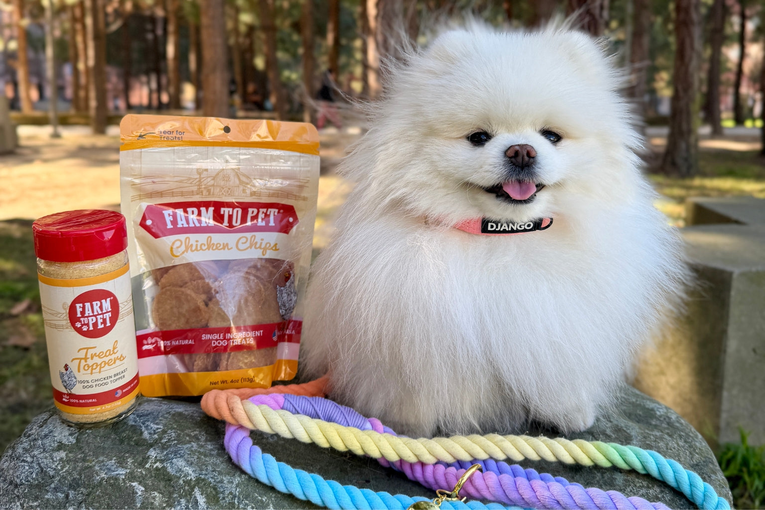 Dog in the forest wearing a Django leash and collar sitting next to Farm to Pet treats and meal topper
