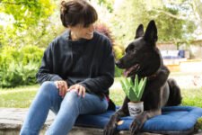 Communication, Trust, and Qualit – Play Pet Brands