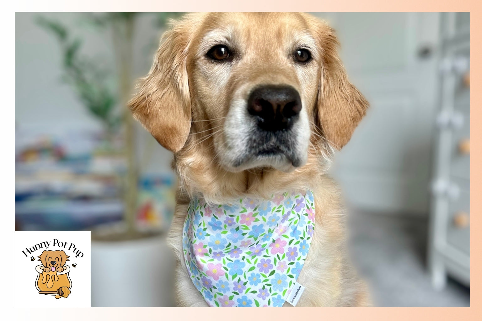 Hunny Pot Pup dog bandanas