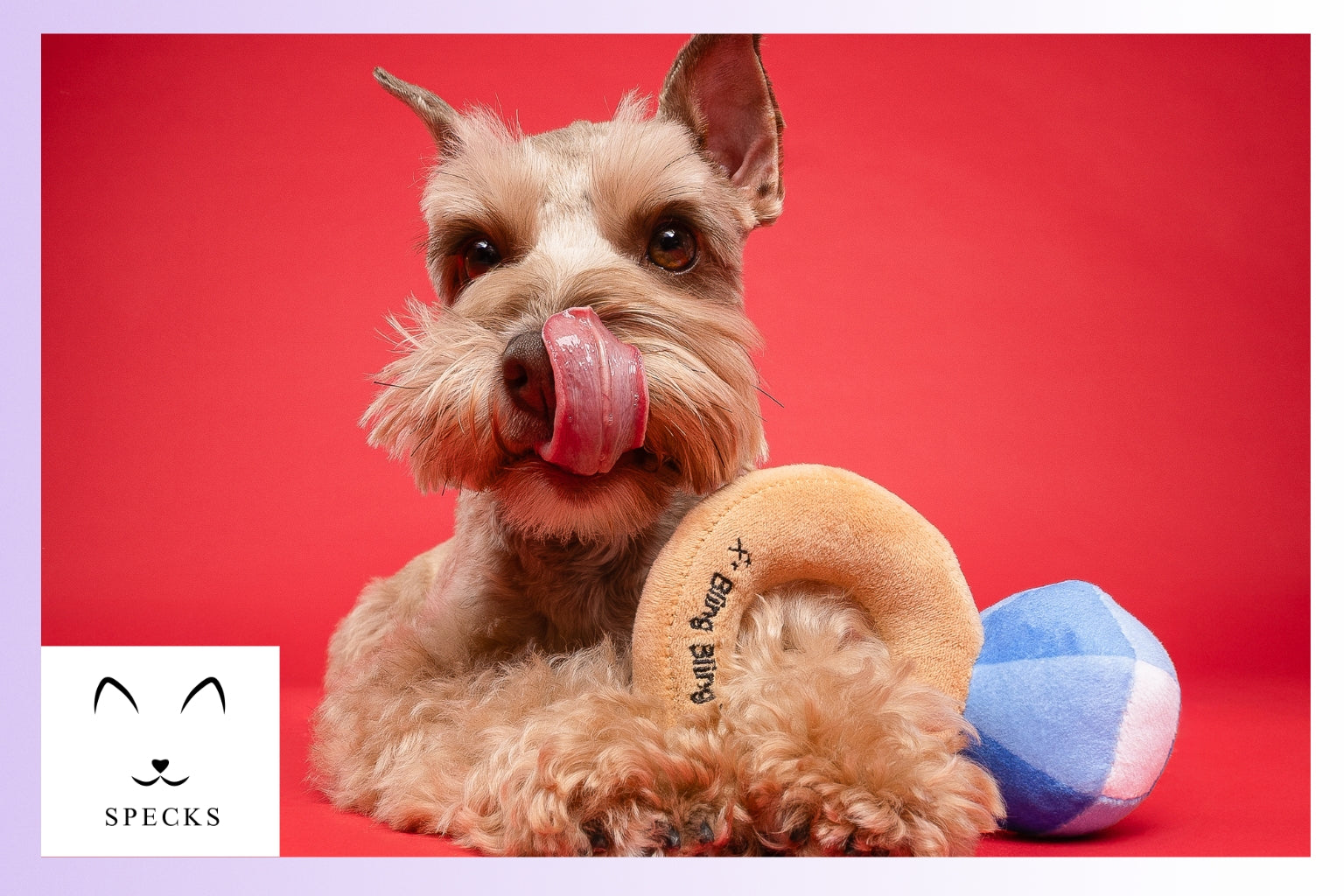 Specks and Pets toys and accessories
