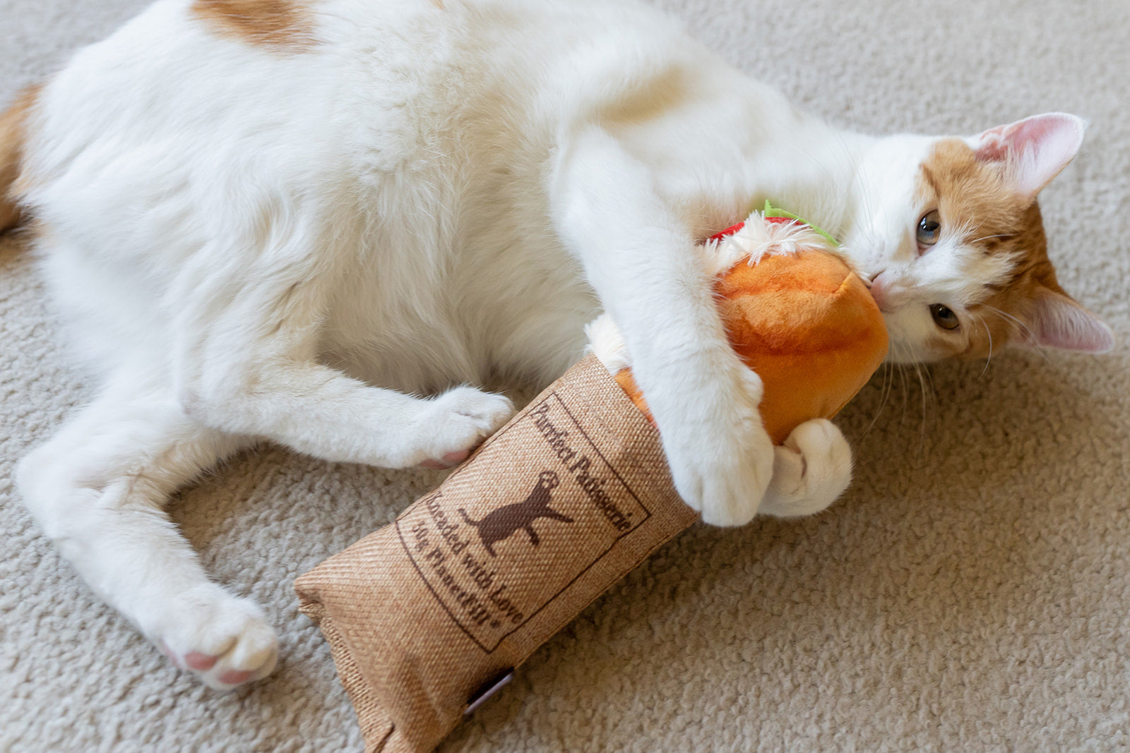 P.L.A.Y. Feline Frenzy Kicker - Tuna Baguette Toy - ginger cat hugging it while looking up
